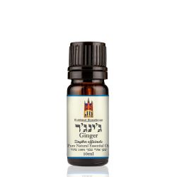 שלוס | SCHLOSS