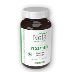 מורינגה | נטע NETA