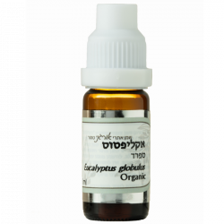 שמן אתרי אקליפטוס ספרד אורגני
